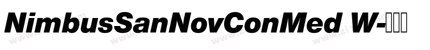 NimbusSanNovConMed W字体转换